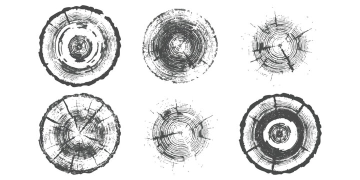 Set of hand drawn tree rings and wooden log cross sections showing growth circles and natural texture patterns
