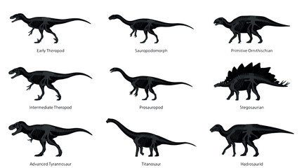 Skeleton Overlay Scientific Silhouettes Sets Pack, Editable Vector Stroke Illustrations. containing dinosaur, skeleton, anatomy, paleontology, prehistoric, fossils and more Dinosaur silhouettes © MasterTech