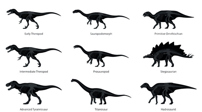 Skeleton Overlay Scientific Silhouettes Sets Pack, Editable Vector Stroke Illustrations. containing dinosaur, skeleton, anatomy, paleontology, prehistoric, fossils and more Dinosaur silhouettes