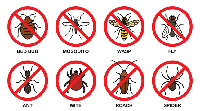 Collection of various common household insect pests displayed within red prohibition circles to symbolize effective pest control measures and protection against unwanted infestations in residential 