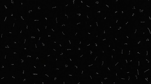 Abstract dust particle texture with white scratches and small debris on black background. Minimal grunge overlay for cinematic effects, vintage film aesthetics, motion graphics, and creative design pr