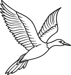 Fototapeta premium Black and white illustration of a bird in flight freely soaring