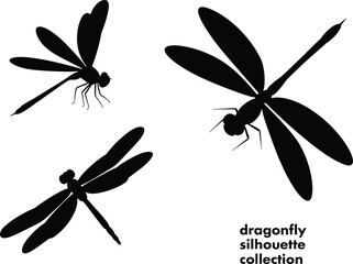 Dragonfly Silhouette Set with Flying Insect Shapes Isolated Vector Collection for Nature and Wildlife Designs © MdAbdullahAl