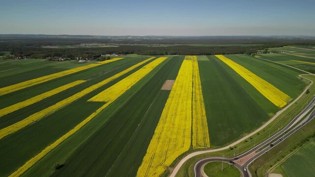 Wojew&oacute;dztwo Świętokrzyskie - Polska - pola rzepaku w rozkwicie, piękny ż&oacute;łty kolor i krajobraz wiejski nagrany z użyciem drona. Rzepak, pola, drogi, niebo, krajobraz wiejski