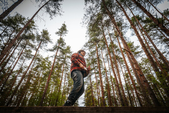 Male hiker wearing a red plaid shirt stands on a wooden platform surrounded by tall pine trees in a dense forest during daylight