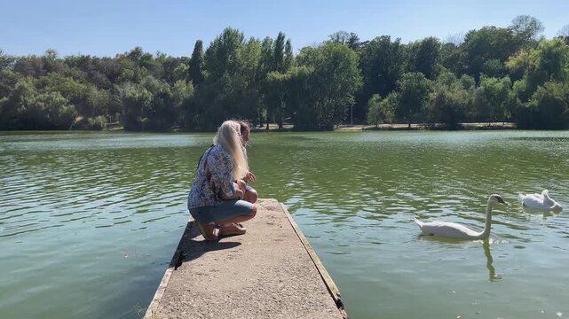 Couple relaxing in nature discovers swans in lake from a pontoon