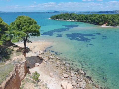 Iconic Pine Tree Hanging from a Red Clay Cliff at Podbrizi Beach, Vrgada