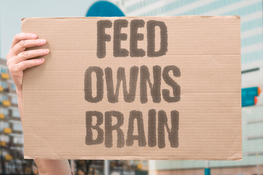 "Feed Owns Brain" Algorithmic content feeds are designed to colonize and occupy human attention. ALGORITHMIC. FEEDS. COLONIZE. OCCUPY. ATTENTION.