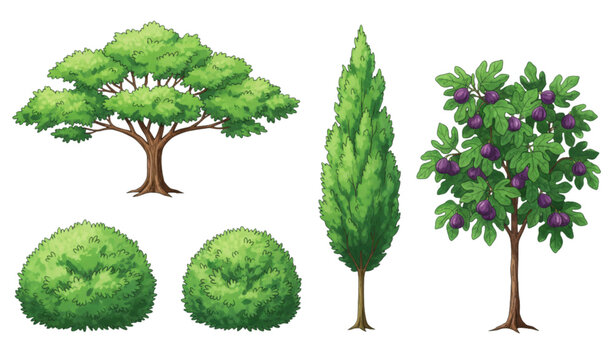 Hand drawn green tree collection vector with realistic fig trees and lush natural foliage