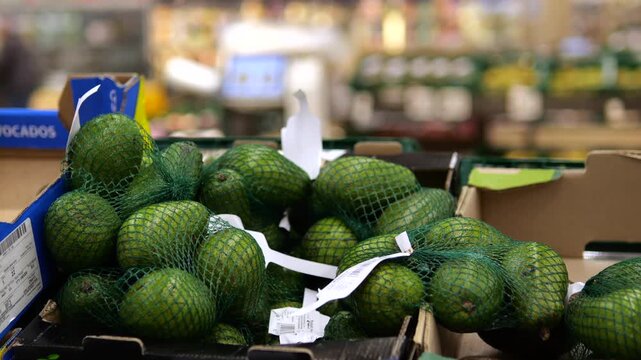 Close up of a person's hand choosing a net bag of fresh green avocados from a cardboard box in the produce section of a grocery store, promoting a healthy lifestyle and organic food choices