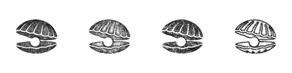 Sketch clam logo design set © David Zydd