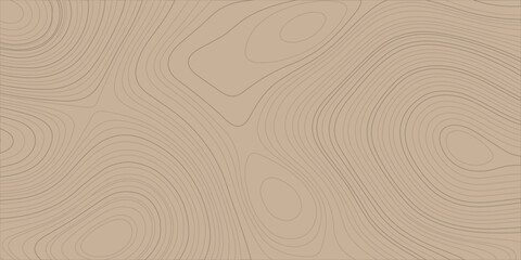 Brown topographic map background with abstract wavy lines and organic contour pattern. A high-quality minimalist background featuring light brown earth tones and sleek topographic contour lines. © Creative Lis