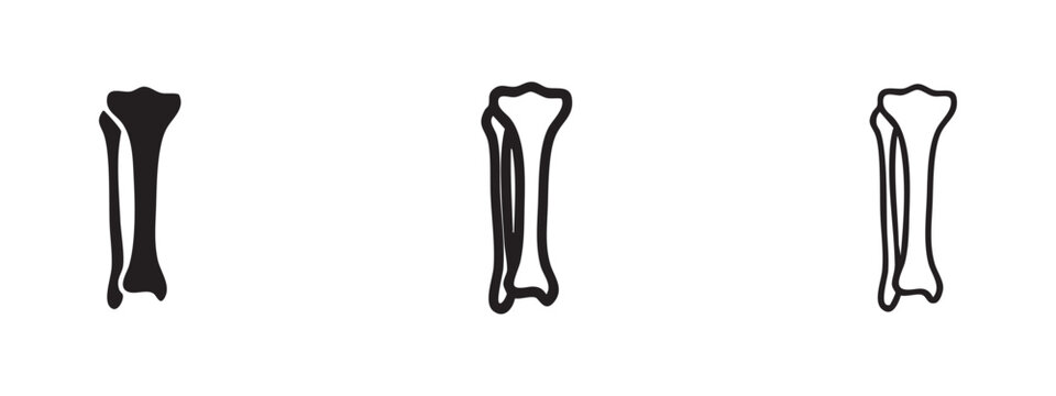 Human tibia or fibula bone icon set: solid, bold outline, and thin outline styles. Skeletal anatomy.