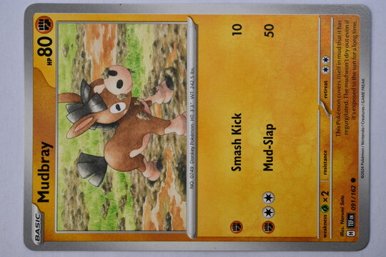 Pok&eacute;mon Trading Card, Scarlet and Violet, Temporal Forces, Mudbray.