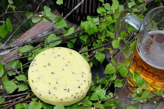 Traditional Latvian Midsummer caraway cheese and beer mug surrounded by fresh birch branches on a wooden stool from a high angle