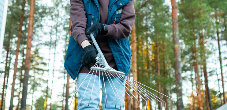 Calm elderly homeowner holding fan rake closeup in wooded area on frosty autumn day. Tranquil senior woman cares for garden with yard maintenance. Keeper finds joy in outdoor work amid sunlight