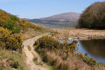 Obraz premium Llyn Cynwch lake, Eryri National Park, formally Snowdonia, North Wales, UK.