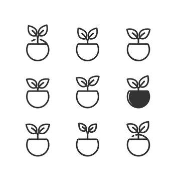 Minimalist plant sprout icons in small pots set of linear and solid vector illustrations for nature growth