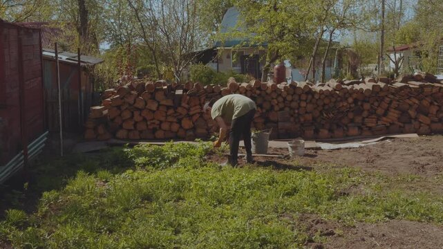 Weeding the ground, weeding the soil, clean the soil of weeds, remove weeds in the soil