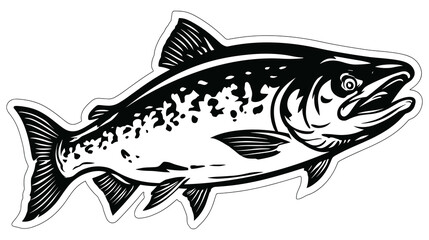 Fototapeta premium Black and white illustration of a salmon fish swimming isolated on white background