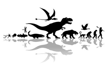 Evolution of life. Silhouette with reflection © Olena