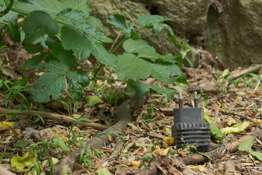 Abandoned outlet adaptor left inf the grass