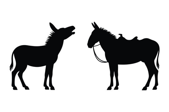 Two donkeys one braying and one saddled silhouette vector illustration