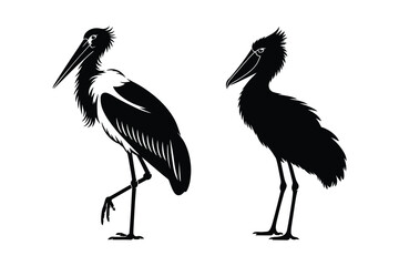 Fototapeta premium Silhouette of two storks standing against white background with wildlife