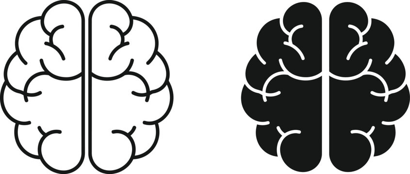 Brain anatomy illustration set line art and solid silhouette versions