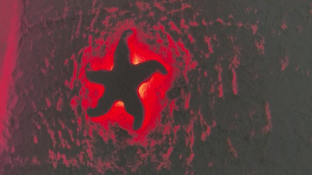 Glowing red salt star on textured cave wall closeup showing crystalline five point formation bathed in warm red light porous
