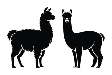 Fototapeta premium Two llama and alpaca silhouettes side by side with silhouette, illustration