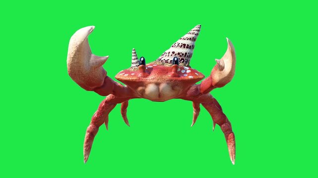 Crab on Green Screen Background crayfishes Cambaridae 3d render 4k