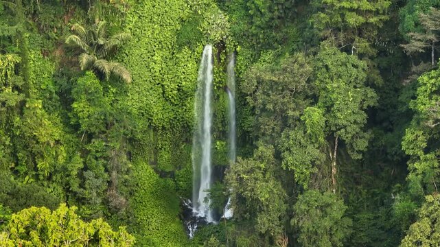 Sendang Gile Waterfall cascading down a vibrant, green cliff face within a dense tropical jungle in Senaru, North Lombok, showcasing the powerful beauty of raw nature. Aerial view drone panorama
