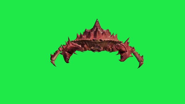 Crab on Green Screen Background crayfishes Cambaridae 3d render 4k