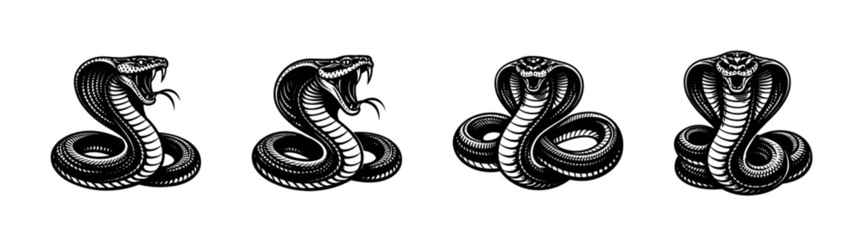 Dynamic vector illustration of four cobra snake silhouettes, black and white design, snake elements