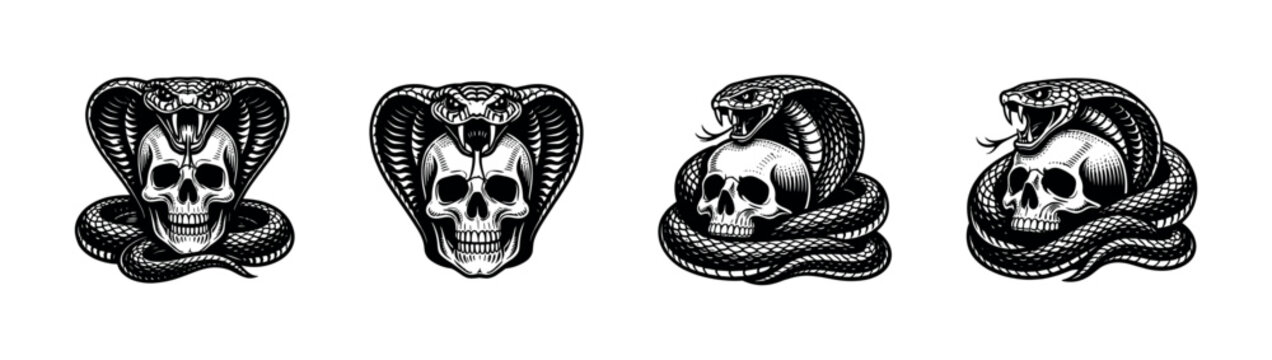 Snake and skull illustrations, black and white, tattoo design, animal skulls, vector art
