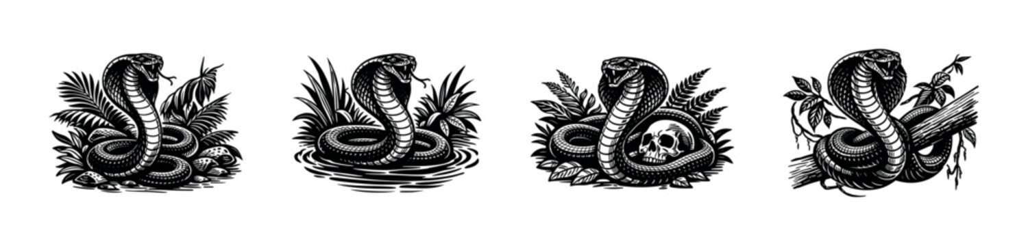 Black and white cobra snake illustrations with botanical elements and forest themes
