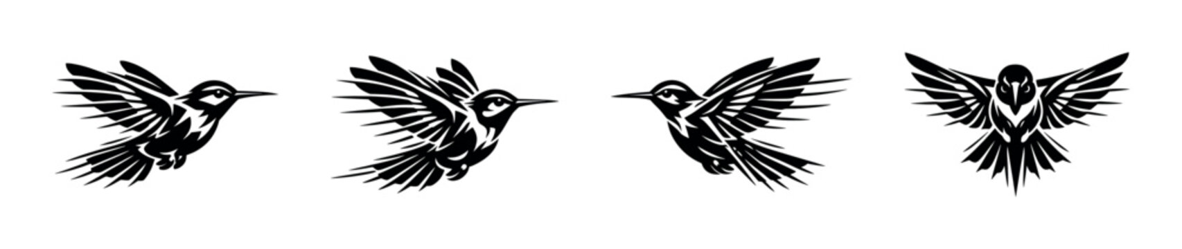 Black and white vector silhouette of hummingbirds in flight botanical illustration