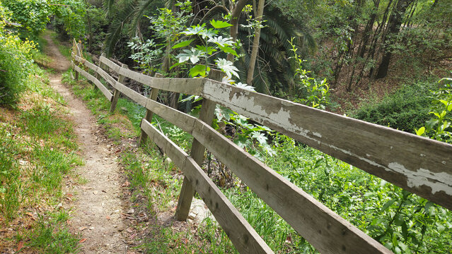 A Rickety Old Fence