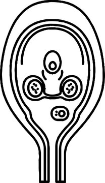 Botanical ovule or cellular structure diagram icon