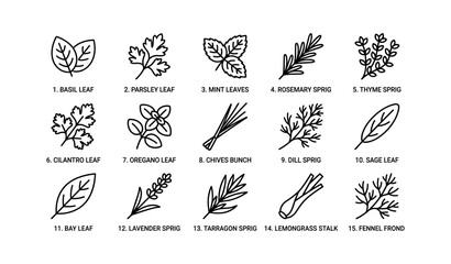 Obraz premium Herb icons labeled with names arranged in grid layout