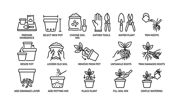 Plant repotting step icons showing tools and potting stages