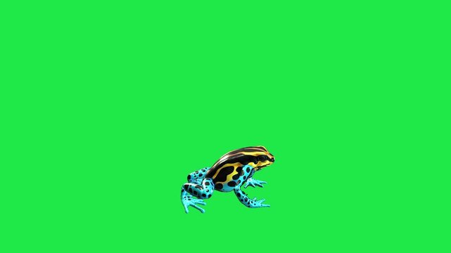 Poison Dart Frog with Black Spots frog sitting on a vibrant green screen background 3d for nature documentary