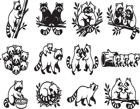Playful Raccoon Wildlife Behavior and Character Silhouettes