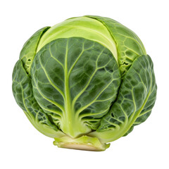 Fototapeta premium Fresh green cabbage with crisp leaves