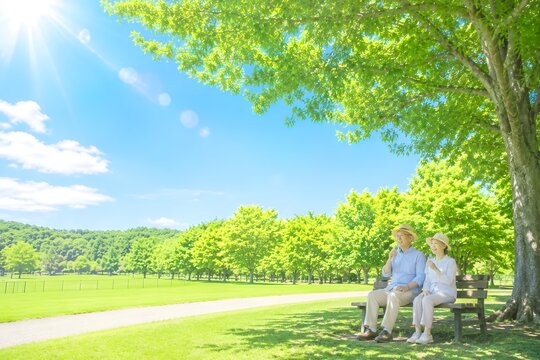 夏の強い日差しの公園で木陰に座り水分補給をして休憩する帽子姿の高齢夫婦の熱中症対策イメージ（AI生成）