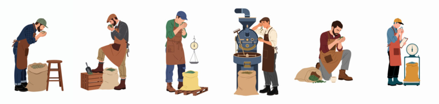 Set of diverse illustrations featuring professional coffee roasters and workers examining, smelling, and weighing green and roasted coffee beans for quality control.