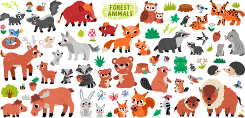 Vector set with forest animals and their kids. Woodland mother and baby collection. Cartoon children, family pack. Cute bear, fox, deer, elk, beaver, squirrel clipart. Woods wildlife illustration © Lexi Claus
