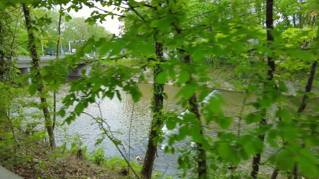 View of a river weir through green trees in Zurich park