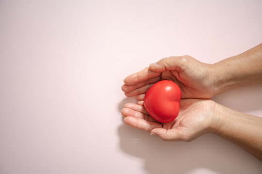 Hands , Holding , Red Heart ,world heart day,world health day, love, metal health day, organ, donation, family insurance, charity. medical support, and wellbeing. Top view
